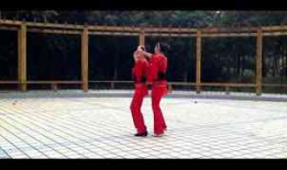 双人舞教学视频